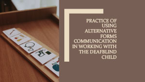 Обложка Practice of using alternative forms of communication in working with the deafblind child 